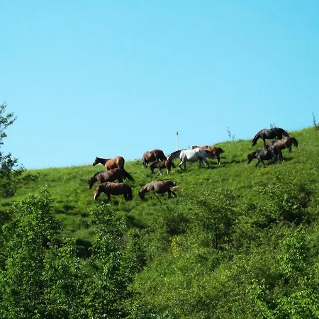Hotel Caprile Uscio