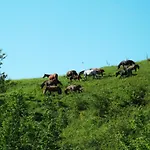 Hotel Caprile Uscio